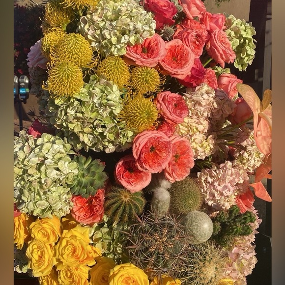 Meet your Posher, Patty - Picture 3 of 4